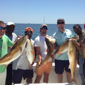 Head boat fishing: Experience the thrill of fishing through a fishing tour